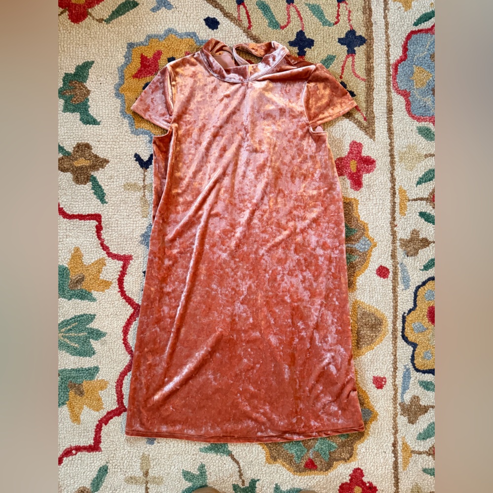 Madewell Velvet Velour Bubblegum Pink Tie-Neck Bow Dress